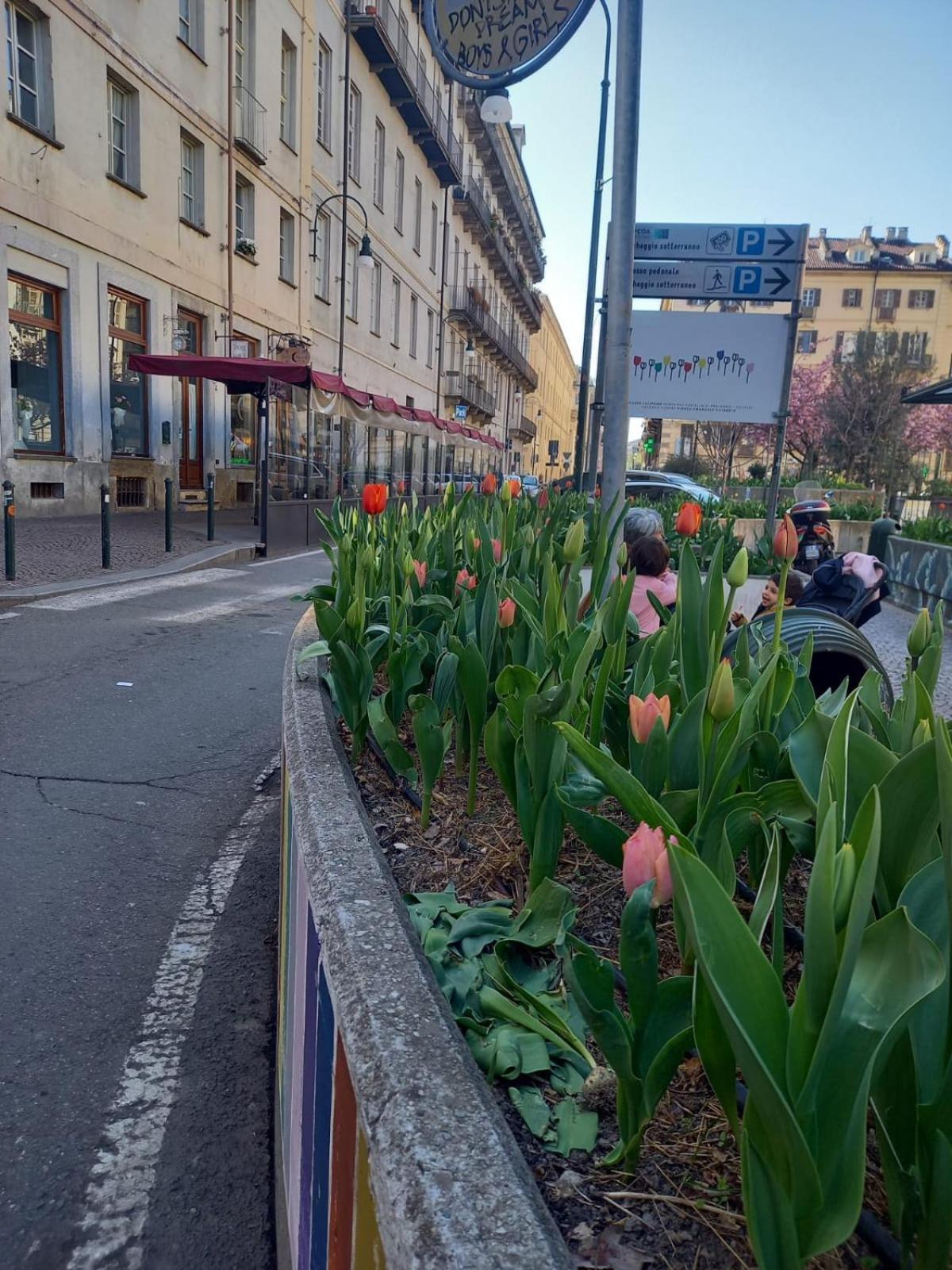 Centralissimo Nel Cuore Del Quadrilatero Di Torino Kültér fotó